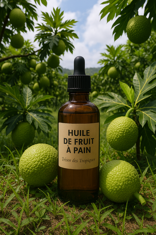 Huile de fruit à pain